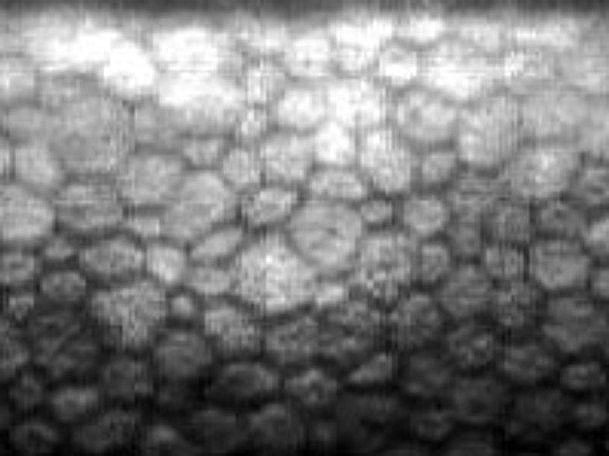 戸塚モディ眼科の「コンタクトレンズ」画像
